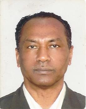 Profile picture for user Azim El-Hassan