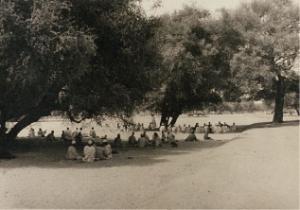 Magistrates court at Wadi Tarni, Darfur. Photo from the Sudan Archive, courtesy of Durham University Library