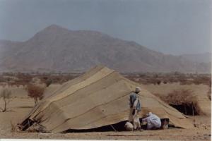 Beja howdich (dwelling), Kassala-Hameshkoreb area, Eastern Sudan, 2001. Credit: Michael Medley.