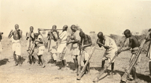 Berta musicians. Image from the Sudan Archive, courtesy of Durham University Library.